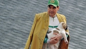 Национальный день туркменского алабая — беспощадный «праздник» для других собак