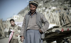 Project Syndicate: Афганский путь к процветанию в Центральной Азии