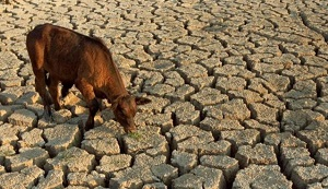 Казахстану предрекли экстремальную засуху