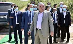 Таджикистан: коронакризис усилился, заставив власти признать новую вспышку