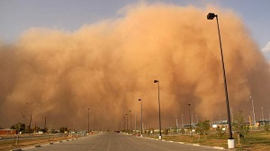 Ученый из США считает, что «пыльная мгла» в Ташкенте может быть сильнейшим в мире загрязнением городского воздуха
