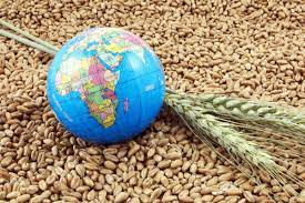 Обнуление экспорта украинского зерна грозит второй арабской весной