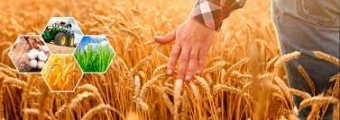 Узбекские предприниматели положительно оценили бизнес-климат в сельском хозяйстве
