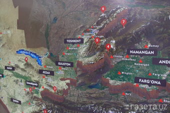 Может ли землетрясение в Турции спровоцировать сейсмическую активность в Узбекистане?