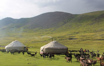 Казахстан: новый этап подъема села за счет государственных инвестиций
