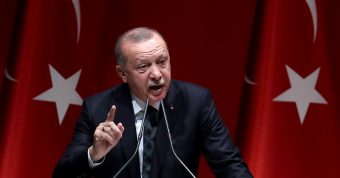 Эрдоган и каштаны: тюрки всех стран, соединяйтесь?