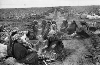 Гитлер о народах Средней Азии: «Если они нам больше не нужны, пусть умирают. Их плодовитость нежелательна. Мы будем убивать 3-4 миллиона человек в год»