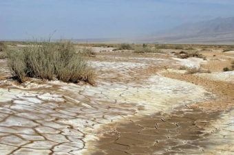 Центральная Азия перед вызовами: об угрозе продовольственного кризиса в Таджикистане