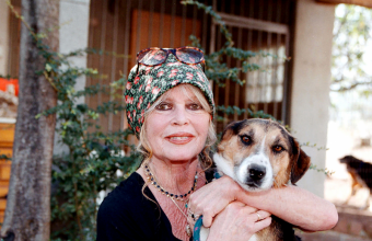 Как в Центральной Азии спасают бездомных животных. И при чем здесь Брижит Бардо? 