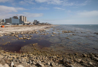 Риски в экосистеме Каспия требуют незамедлительных действий «пятерки»