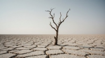 Будущее Центральной Азии тает вместе с ее ледниками