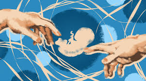 От одного донора нельзя произвести более 10 детей — автор первого «ребенка из пробирки» в Казахстане