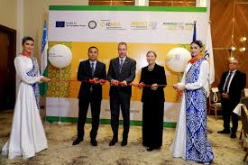 Домиграционный центр в Ташкенте: шаг к легальной и безопасной миграции