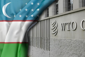 Узбекистан между ВТО и ЕАЭС: чья возьмёт?