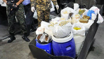 Масштабные спецоперации против наркобизнеса в Центральной Азии